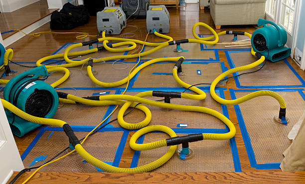 Professional Water Damage Restoration technician working in Placerville, ID